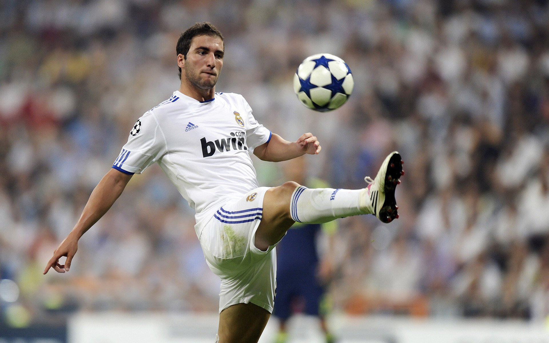 决战前夕,克罗地亚以深度阵容迎终极考验,球迷热忱铸就第十二人